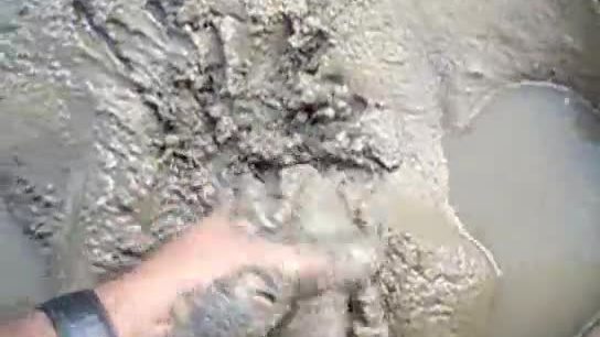 Dirty muddy fun